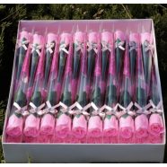 SZAPPAN RÓZSA 5 DB SZETTBEN 